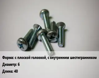 Винт с плоской головкой, с внутренним шестигранником 6х40